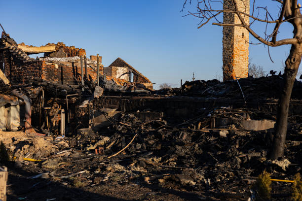Reliable Emergency Fire Damage Restoration contractor in Saint Bonifacius, MN by Fire Damage Flint